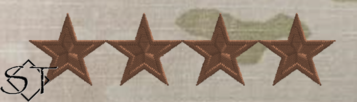 Air Force OCP O10 General Rank Insignia Sew-On (Pair) Point-to-Point