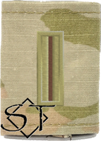 (image for) Air Force OCP W5 Chief Warrant Officer 5 Rank Insignia Gore-tex