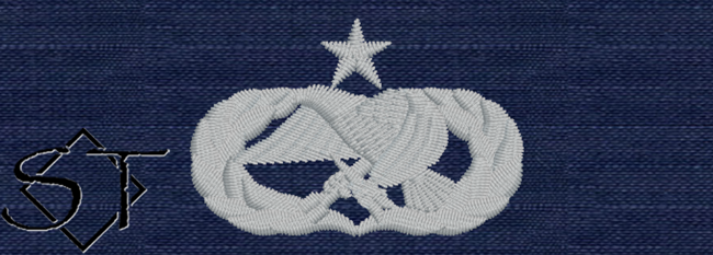 Air Force Maintenance Badge Senior USCG ODU