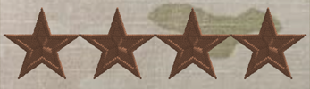 (image for) Air Force OCP O10 General Rank Insignia Sew-On (Pair) Point-to-Point