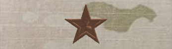 (image for) Air Force OCP O7 Brig Gen Rank Insignia Sew-On (Pair)