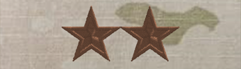 (image for) Air Force OCP O8 Maj Gen Rank Insignia Sew-On (Pair) Point-to-Point
