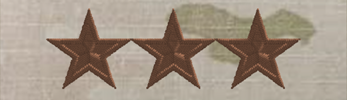(image for) Air Force OCP O9 Lt Gen Rank Insignia Sew-On (Pair) Point-to-Point
