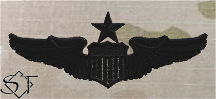 (image for) Air Force Pilot Wings Senior Black