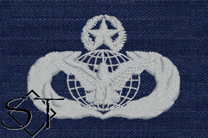 Air Force Special Investigations Force Protection Master ODU Silver