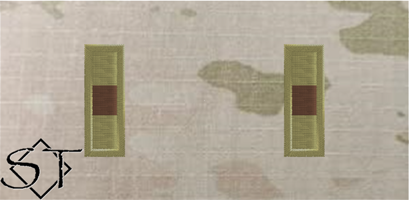 (image for) Air Force OCP W1 Warrant Officer 1 Rank Insignia Insignia Sew-On (Pair)