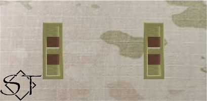 (image for) Air Force OCP W2 Chief Warrant Officer 2 Rank Insignia Sew-On (Pair)