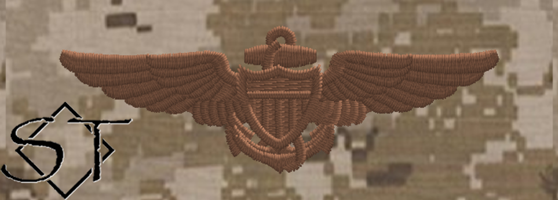 USCG Aviator Pilot Wings-NWU Type II