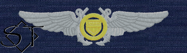 USCG Auxiliary Aviator Pilot Wings-ODU