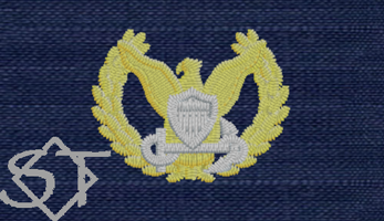USCG Command Ashore Badge - ODU