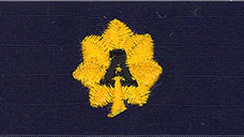 Coast Guard Auxiliary Rank Insignia CG ODU Vice Division Commander