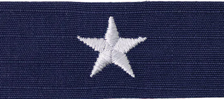 Coast Guard Rank Insignia CG ODU Rear Admiral (Lower Half)-O7