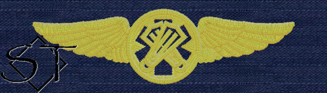 USCG Rescue Swimmer Insignia ODU