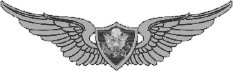 Army Aviation Wings-Aircrew (Astronaut option available)