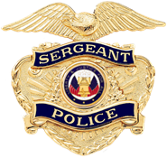 Department of Army Civilian Hat Badge-Supervisor [USA DACP/DASG gold ...