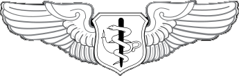 Air Force Flight Nurse Wings